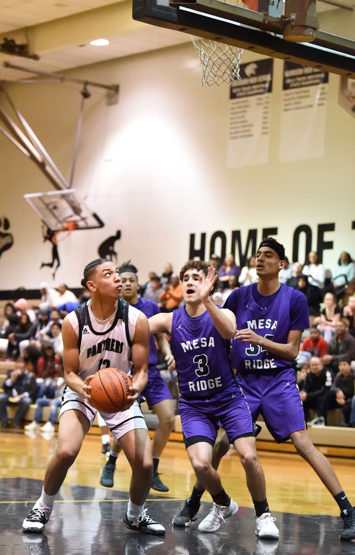 PHOTOS: Harrison Panthers (85) Mesa Ridge Grizzlies (66)